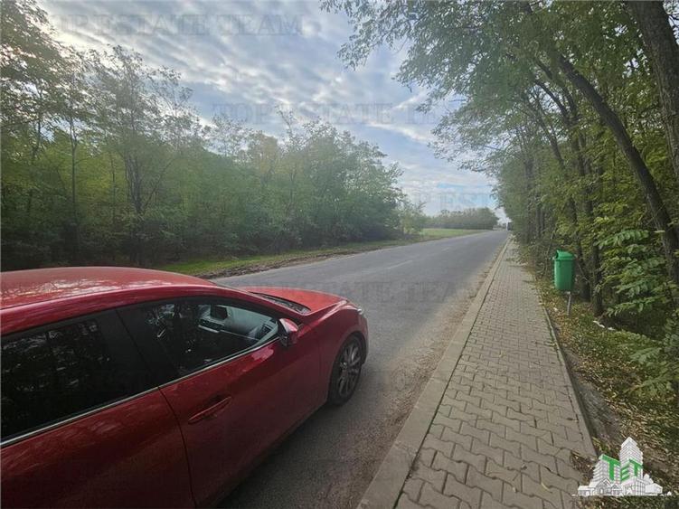 Teren Construcții intravilan de 7500 mp, în Dragomirești-Deal