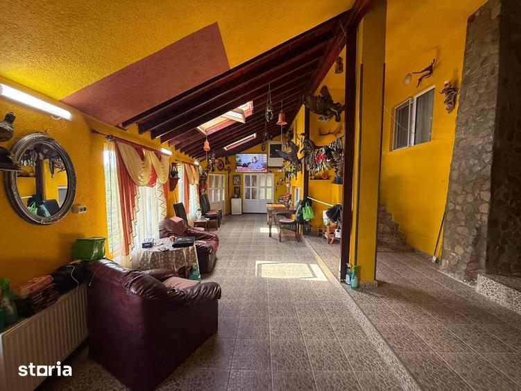 Casă cu 6 camere cu Teren 6300 Mp în Provița de Jos