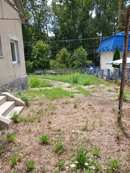 Casă cu Teren 1900 Mp în Central