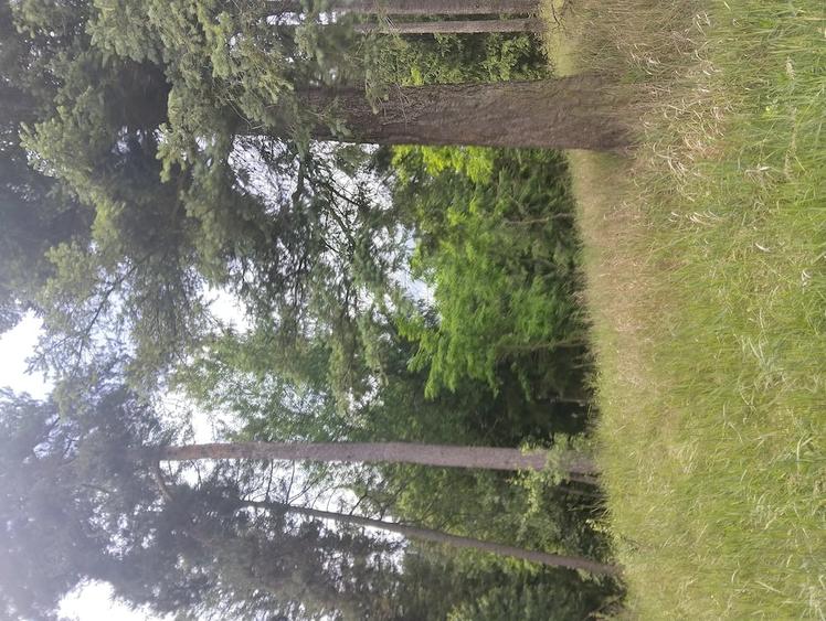Teren de 2185 mp, în Central