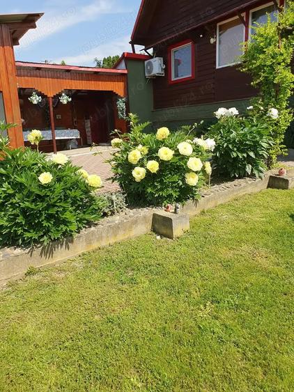 Casă cu 4 camere cu Teren 1500 Mp în Cerghid