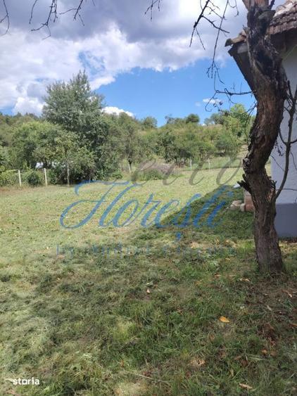 Casă cu 2 camere în Sâncraiu Almașului