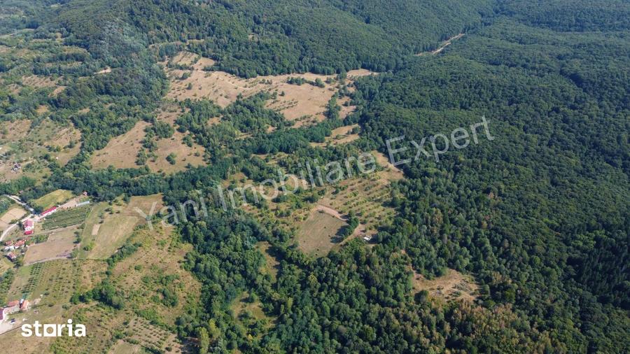 Teren de 165331 mp, în Băiculești