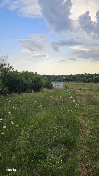 Teren de 1554 mp, în Surdulești