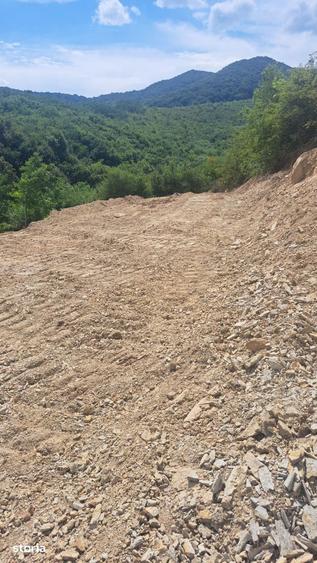 Teren de 500 mp, în Viișoara
