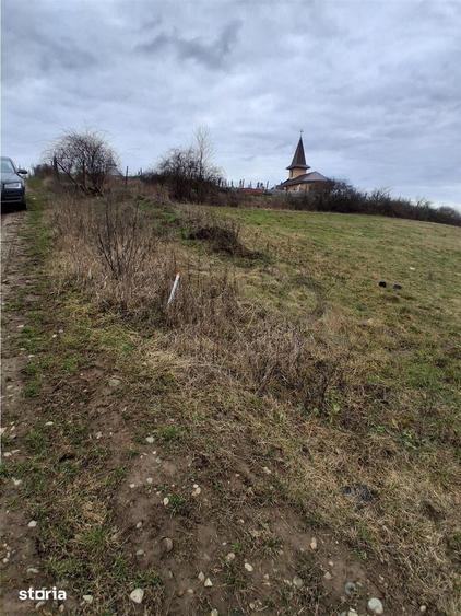 RECO Teren intravilan dublu front stradal- Betfia - 2