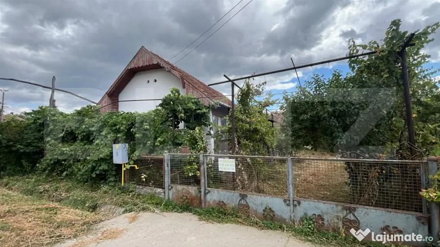 Casă cu 2 camere cu Teren 1256 Mp în Unirea
