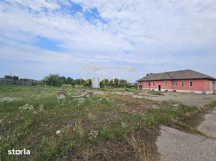 Teren de 10000 mp, în Ștefan cel Mare