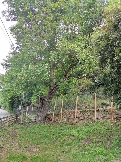 Casă cu Teren 4000 Mp în Ocoliș