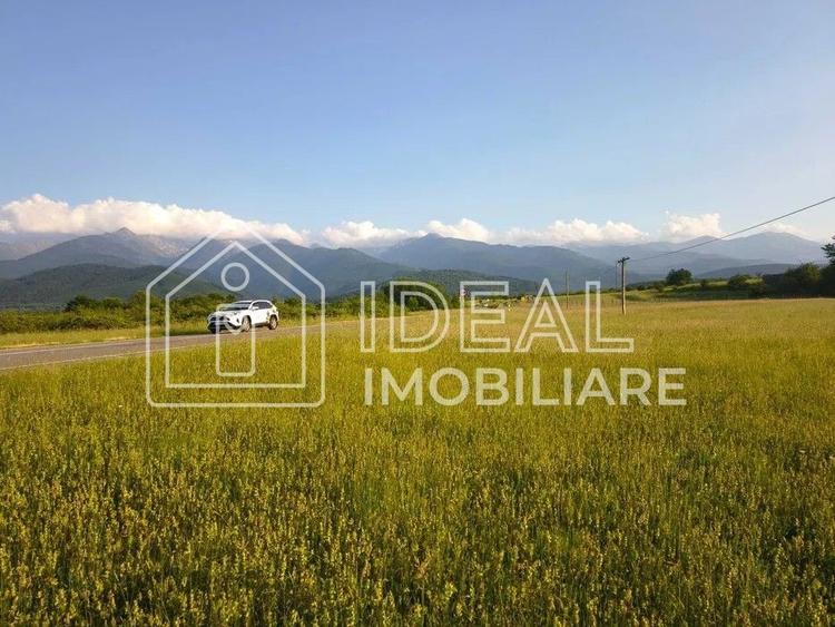 Teren agricol extravilan de 1800 mp, în Cârțișoara