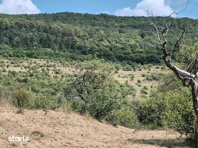 Teren de 8000 mp, în Baciu