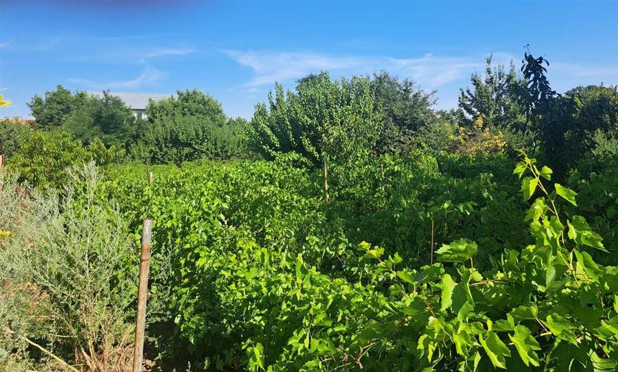 Casă individuală cu 4 camere cu Canalizare în Chiscani