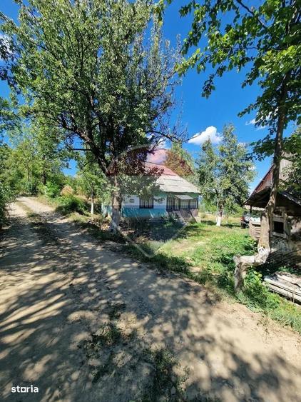 Casă cu 3 camere cu Teren 6000 Mp în Central