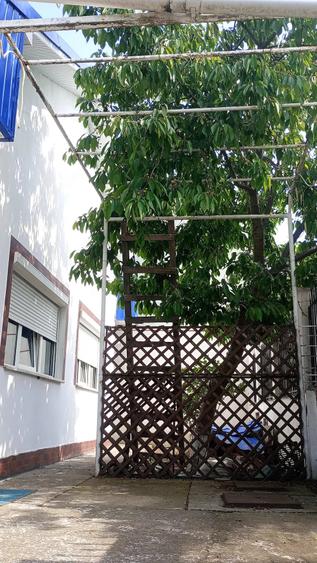 Casă cu 5 camere cu Teren 314 Mp în Central