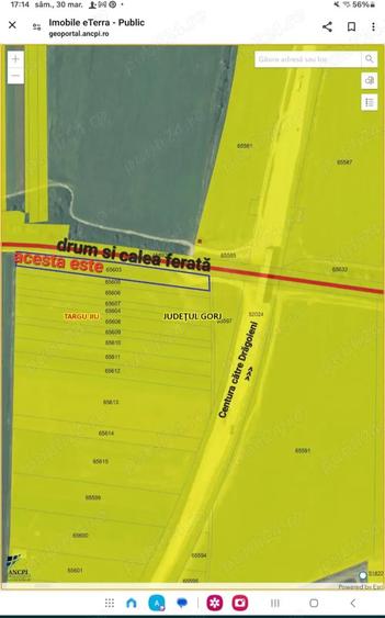 Teren de 5000 mp, în Centura