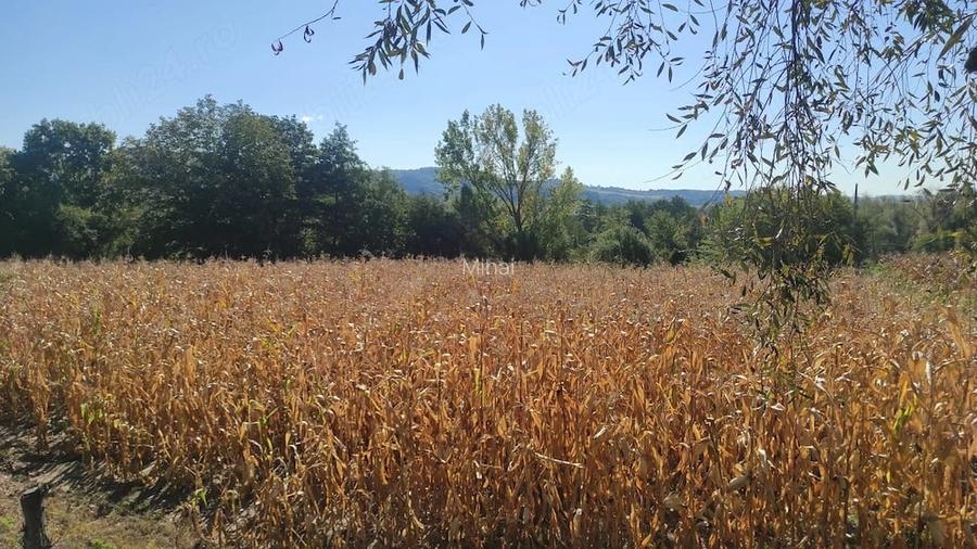 Teren de vanzare - excelent pentru investi?ie sau o proprietate intr-un cadru natural deosebit!