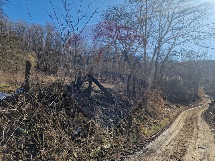 Teren Construcții intravilan de 4985 mp, în Sascut