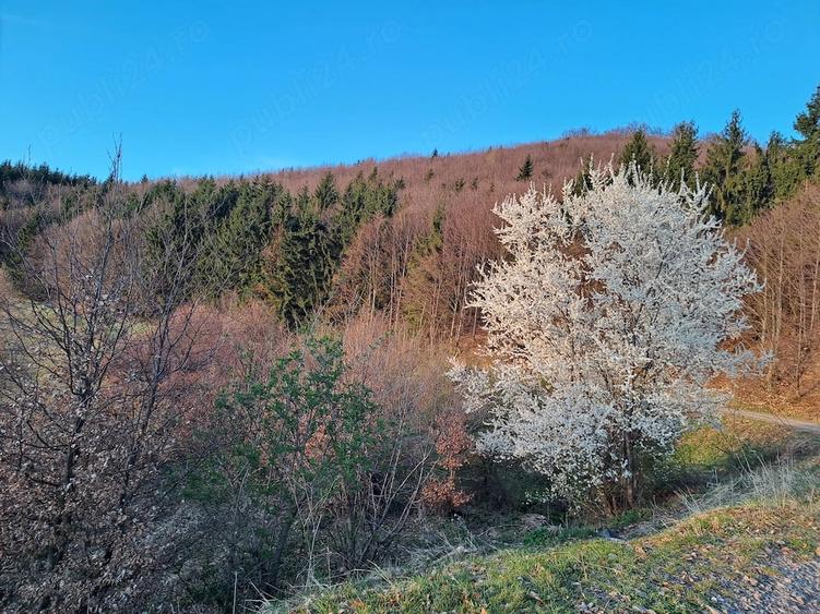 Teren de 27 mp, în Rușii-Munți