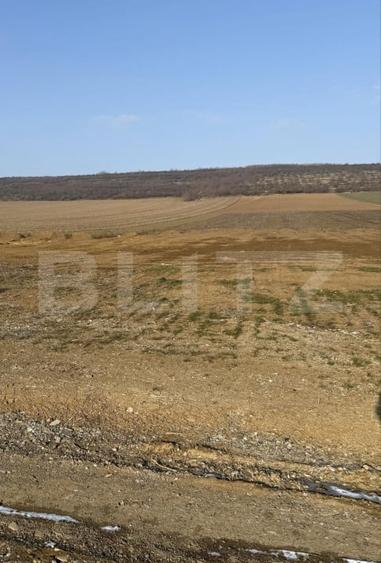 Teren Construcții intravilan de 3200 mp, în Nord