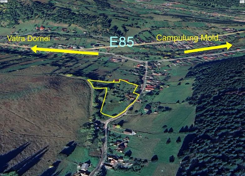 Teren de 8000 mp, în Pojorâta