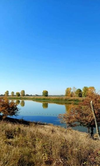 Teren Construcții intravilan de 328 mp, în 1 Decembrie