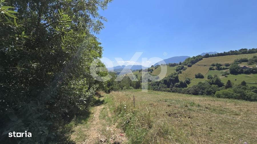3.757 mp in Poiana Marului | Teren cu potential, langa case - 8