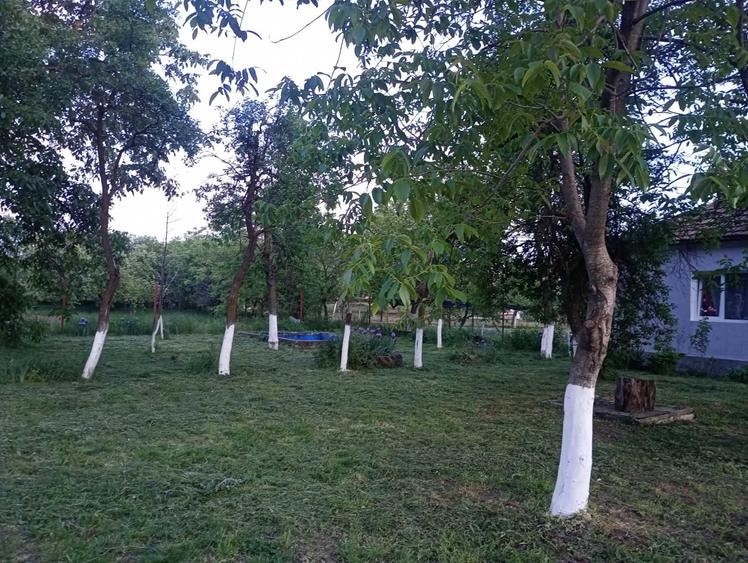 Casă cu 4 camere în Aluniș