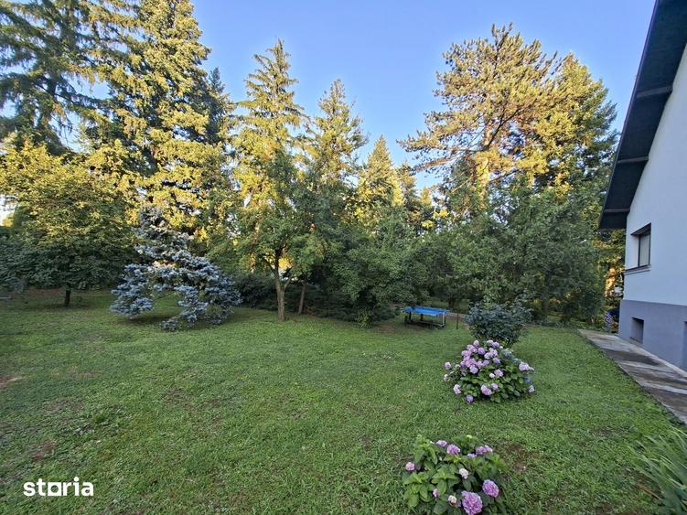Casa cu Pini. Un refugiu in culoarea naturii. - 6
