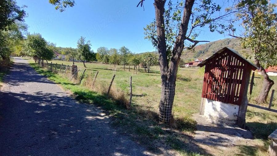 Teren de 9288 mp, în Bucova