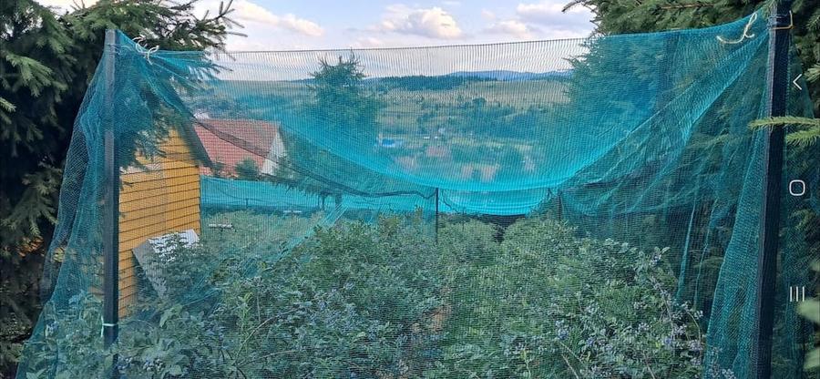 Casă cu Teren 3600 Mp în Călimănel
