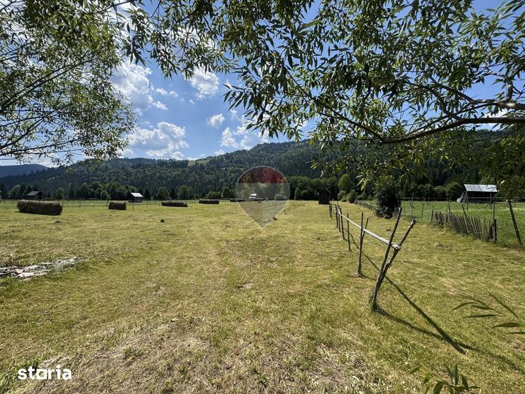 Teren de 2802 mp, în Borca