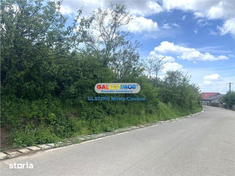 Vanzare teren intravilan Baicoi zona Tintea - 1