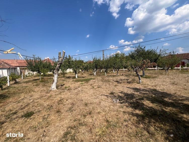 Teren intravilan de vanzare | Tileagd | jud. Bihor - 1