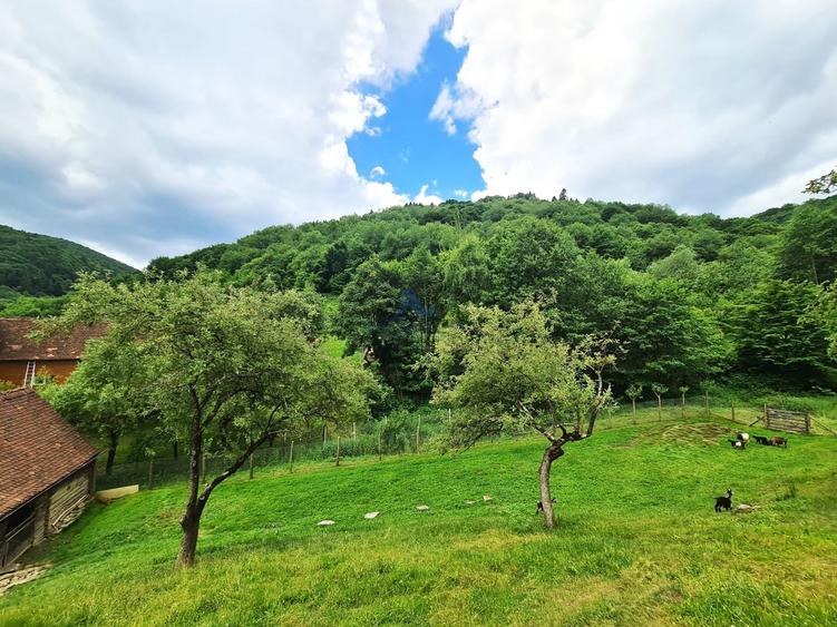Casă individuală cu 4 camere cu Teren 1500 Mp în Fântânele