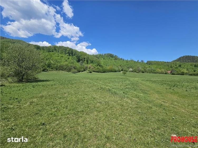 Teren de 5370 mp, în Oituz