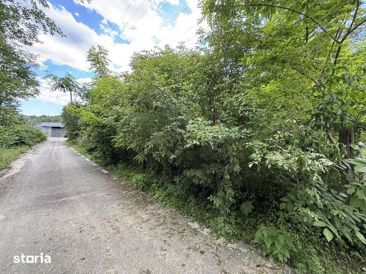 Teren de 683 mp, în Provița de Sus