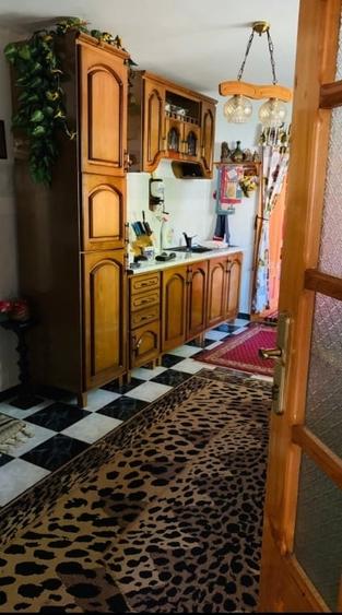 Casă individuală cu 4 camere cu Teren 5000 Mp în Remetea Mică