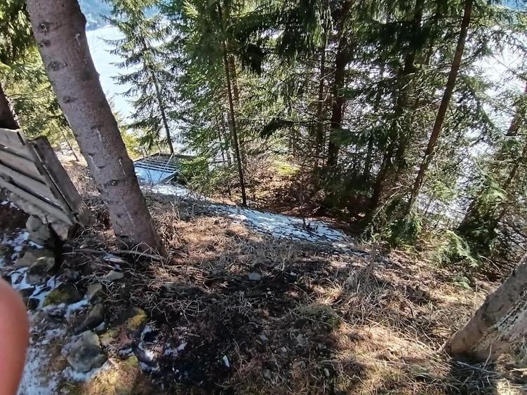Teren de 1000 mp, în Colibița