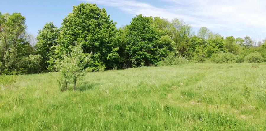 Teren de 11500 mp, în Vărădia de Mureș