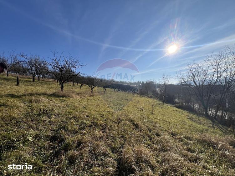 Teren de 10000 mp, în Moldovenești