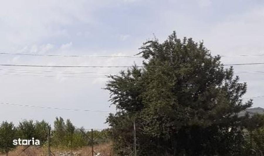 Teren de 16000 mp, în Progresul