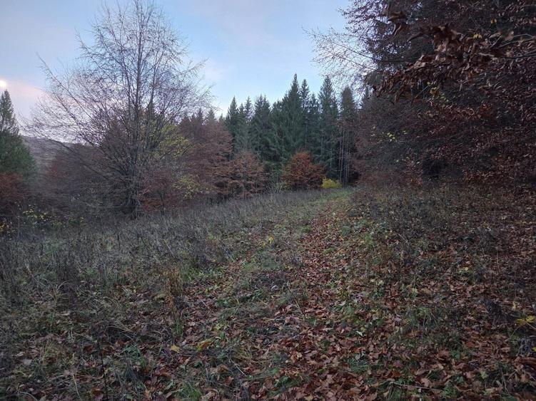 Teren de 1000 mp, în Sucevița