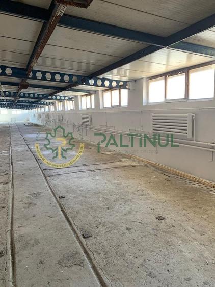 Spațiu industrial, de 700 mp, în Exterior Vest
