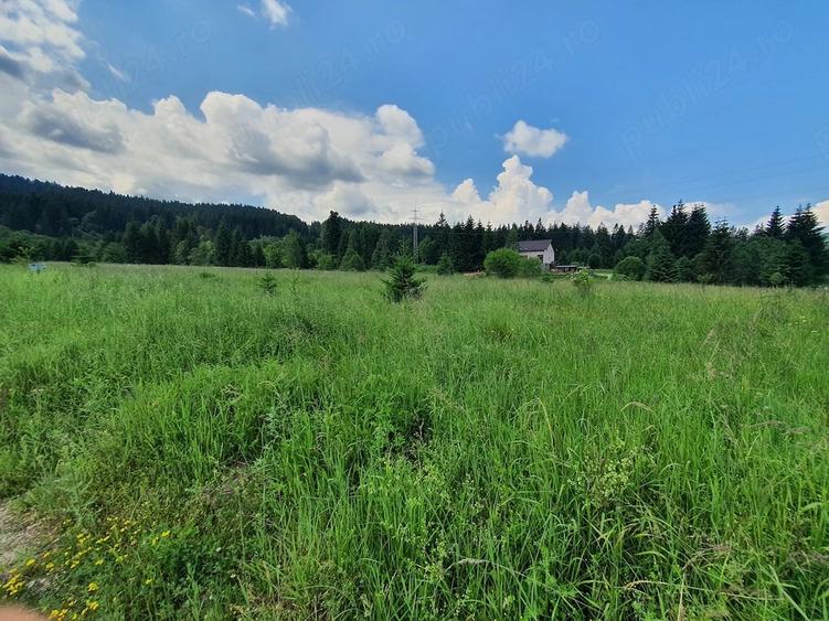 Teren de 2000 mp, în Bran
