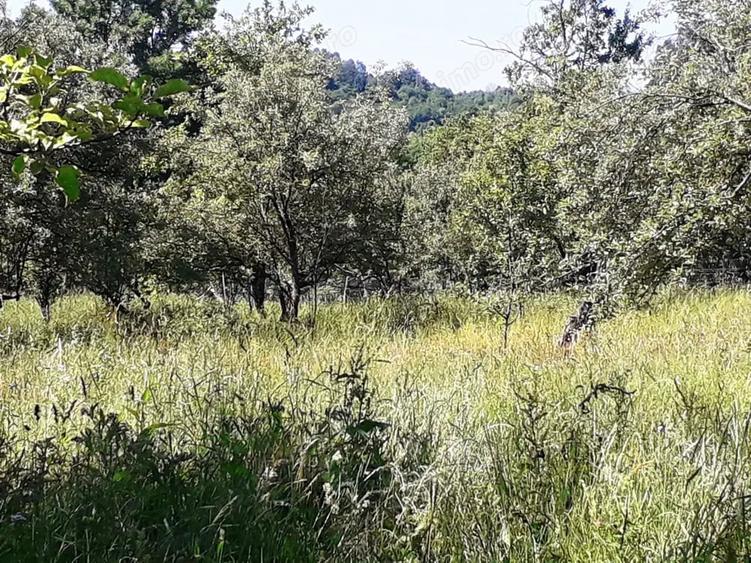 Teren de 1935 mp, în Valea