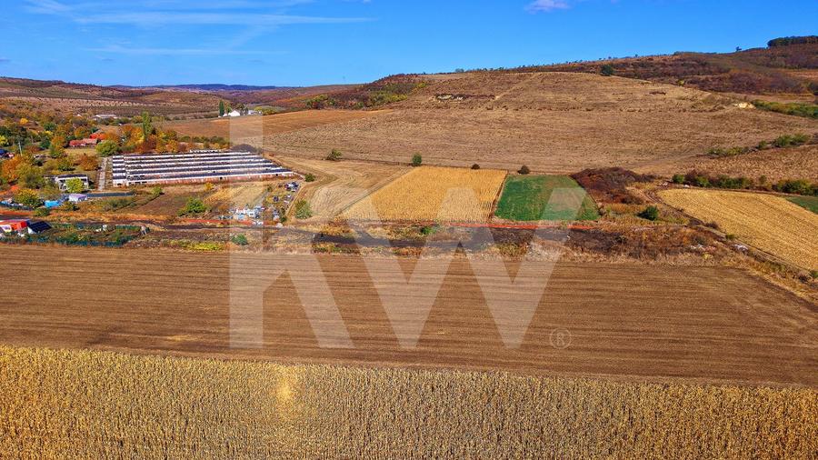 Teren Construcții intravilan de 2000 mp, în Viile Sibiului