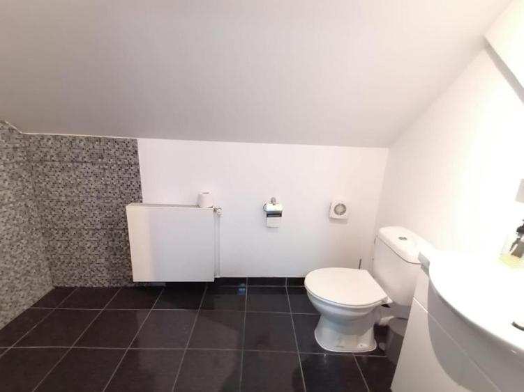 Apartament cu 3 camere - curte cu foisor + spatiu parcat masina - 9