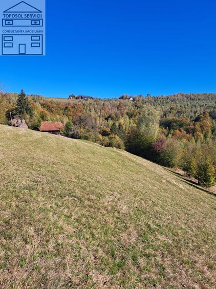 Teren Construcții extravilan de 51000 mp, în Bulz