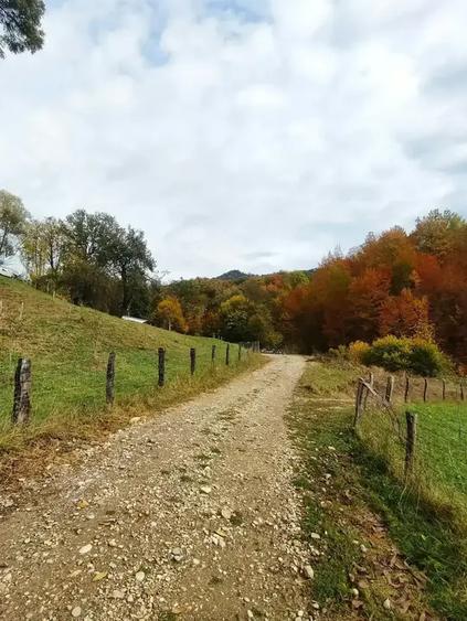 Teren intravilan de 2500 mp, în Urseiu