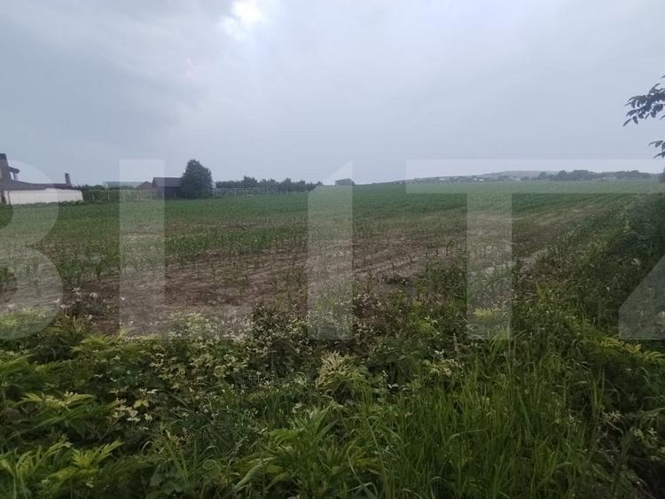 Teren agricol extravilan de 7500 mp, în Orășeni-Deal